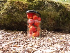 Confiture extra de Fraise